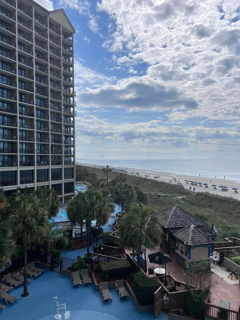 The hotel room's pool with a view of the ocean in the distance